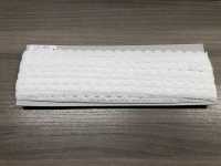 55180 Chemical Lace Floria Sub Photo