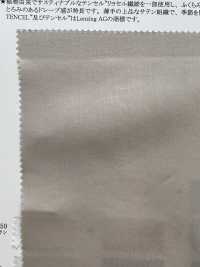 13256 80 Single Thread Cotton / Tencel (TM) Lyocell Fiber Fibril Satin[Textile / Fabric] SUNWELL Sub Photo