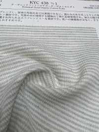 KYC438 D/1 Organic Cotton Pique Horizontal Stripes Botanical Dyeing[Textile / Fabric] Uni Textile Sub Photo