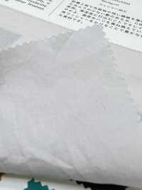 1204 CM80 Typewriter Cloth(Wide Width) Sun-dried Vintage Washer Finish[Textile / Fabric] VANCET Sub Photo