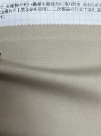 1550 CM50 / - Broadcloth[Textile / Fabric] VANCET Sub Photo