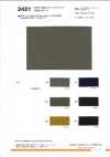 2421 Sun-Dried Style Vintage Washer Finish CM50 Broadcloth