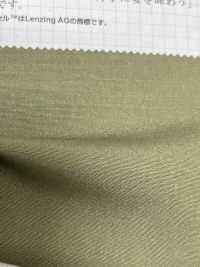 2691 Tencel / Linen Sophie Canvas[Textile / Fabric] VANCET Sub Photo