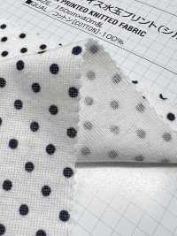 350 40 / Circular Rib Polka Dot Print (Mercerized)[Textile / Fabric] VANCET Sub Photo