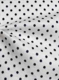 350 40 / Circular Rib Polka Dot Print (Mercerized)[Textile / Fabric] VANCET Sub Photo