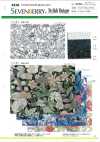 4216 SEVENBERRY® 50 Single-Yarn Broadcloth Stylish Vintage