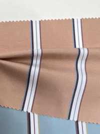 5406 50 Single Thread X 80 Thread Broadcloth Stripe Silk Protein Processing[Textile / Fabric] VANCET Sub Photo