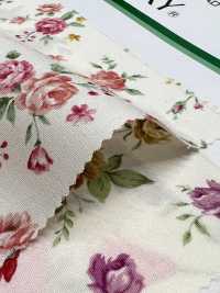 6156 Broadcloth ROSE &amp; LILY[Textile / Fabric] VANCET Sub Photo