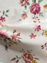 6156 Broadcloth ROSE &amp; LILY[Textile / Fabric] VANCET Sub Photo