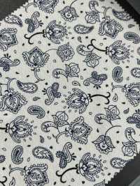 1077935 T / C Moss Stitch Paisley Print[Textile / Fabric] TAKISADA NAGOYA Sub Photo