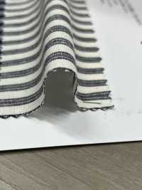 AN-9279 Cotton Muranep Stripe[Textile / Fabric] ARINOBE CO., LTD. Sub Photo