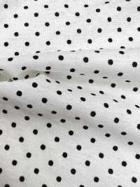 55048-A 60/2 Gas-fired Mercerized Cotton Jersey[Textile / Fabric] SAKURA COMPANY Sub Photo