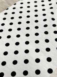 55048-B 60/2 Gas Firing Mercerized Cotton Jersey Dot Pattern Medium[Textile / Fabric] SAKURA COMPANY Sub Photo