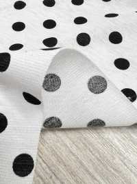 55048-B 60/2 Gas Firing Mercerized Cotton Jersey Dot Pattern Medium[Textile / Fabric] SAKURA COMPANY Sub Photo