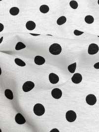 55048-B 60/2 Gas Firing Mercerized Cotton Jersey Dot Pattern Medium[Textile / Fabric] SAKURA COMPANY Sub Photo