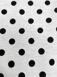 55048-B 60/2 Gas Firing Mercerized Cotton Jersey Dot Pattern Medium[Textile / Fabric] SAKURA COMPANY Sub Photo