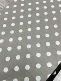 55048-B 60/2 Gas Firing Mercerized Cotton Jersey Dot Pattern Medium[Textile / Fabric] SAKURA COMPANY Sub Photo