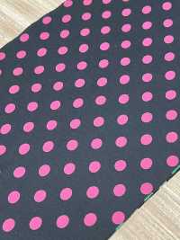 55048-B 60/2 Gas Firing Mercerized Cotton Jersey Dot Pattern Medium[Textile / Fabric] SAKURA COMPANY Sub Photo