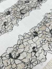 70022 Raschel Lace No Pattern[Textile / Fabric] SAKURA COMPANY Sub Photo