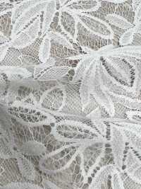 70023 Raschel Lace (Price Down)[Textile / Fabric] SAKURA COMPANY Sub Photo