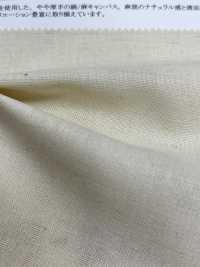 11452 Linen Canvas (150cm Width)[Textile / Fabric] SUNWELL Sub Photo