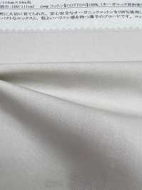 11490 Cordot Organics(R) 50 Thread Broadcloth[Textile / Fabric] SUNWELL Sub Photo