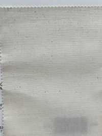 11491 Thread (R) 40 Single Yarn Broadcloth[Textile / Fabric] SUNWELL Sub Photo