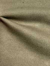 11664 16/2BD Cotton Tianzhu Cotton[Textile / Fabric] SUNWELL Sub Photo