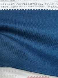 11687 50/2 Egyptian Cotton Circular Rib[Textile / Fabric] SUNWELL Sub Photo