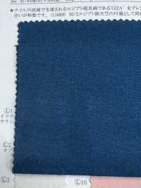 11687 50/2 Egyptian Cotton Circular Rib[Textile / Fabric] SUNWELL Sub Photo