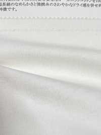 11705 Tianzhu Cotton Organics (R) High Twist Cotton Sheeting[Textile / Fabric] SUNWELL Sub Photo