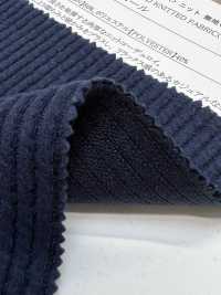 13676 Wide Well Knit Corduroy[Textile / Fabric] SUNWELL Sub Photo