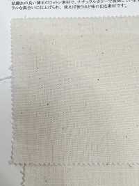 14281 Selvage Cotton Series Yarn Dyed 20 Single Thread Loomstate[Textile / Fabric] SUNWELL Sub Photo