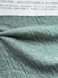 14613 Cordot Organics (R) Double-sided Knitting[Textile / Fabric] SUNWELL Sub Photo