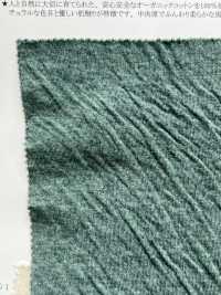 14613 Cordot Organics (R) Double-sided Knitting[Textile / Fabric] SUNWELL Sub Photo