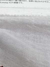 16599 Tencel (TM) Modal Fiber/Cotton Shirring Tartan[Textile / Fabric] SUNWELL Sub Photo