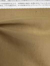 22223 Polyester/cotton Vertical Chiffon[Textile / Fabric] SUNWELL Sub Photo