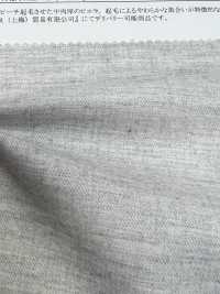 26093 Viyella Chambray Fuzzy[Textile / Fabric] SUNWELL Sub Photo