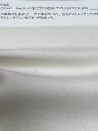 26231 Yarn Dyed 30 Thread/Acrylic Viyella[Textile / Fabric] SUNWELL Sub Photo