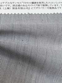 35028 Yarn-dyed Cotton/Tencel(TM) Lyocell Fiber Stripe[Textile / Fabric] SUNWELL Sub Photo