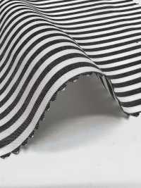 35180 Cotton/Tencel(TM) Lyocell Fiber Stripe[Textile / Fabric] SUNWELL Sub Photo