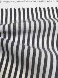 35180 Cotton/Tencel(TM) Lyocell Fiber Stripe[Textile / Fabric] SUNWELL Sub Photo