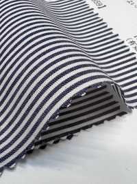 35359 Yarn-dyed PIMA70 Single Thread Typewritter Cloth Stripe[Textile / Fabric] SUNWELL Sub Photo