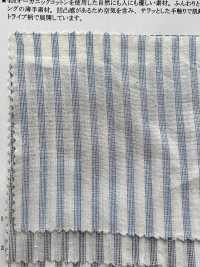 35368 40 Thread Organic Cotton Shirring Stripes[Textile / Fabric] SUNWELL Sub Photo