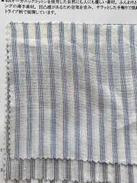 35368 40 Thread Organic Cotton Shirring Stripe[Textile / Fabric] SUNWELL Sub Photo