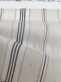 35422 Yarn-dyed Cotton / Tencel (TM) Lyocell Fiber Lawn Multi-stripes[Textile / Fabric] SUNWELL Sub Photo