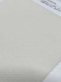 41667 Polyester Double Mesh (160cm Width)[Textile / Fabric] SUNWELL Sub Photo