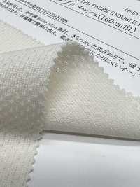 41667 Polyester Double Mesh (160cm Width)[Textile / Fabric] SUNWELL Sub Photo