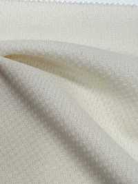 41667 Polyester Double Mesh (160cm Width)[Textile / Fabric] SUNWELL Sub Photo