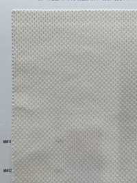 41667 Polyester Double Mesh (160cm Width)[Textile / Fabric] SUNWELL Sub Photo
